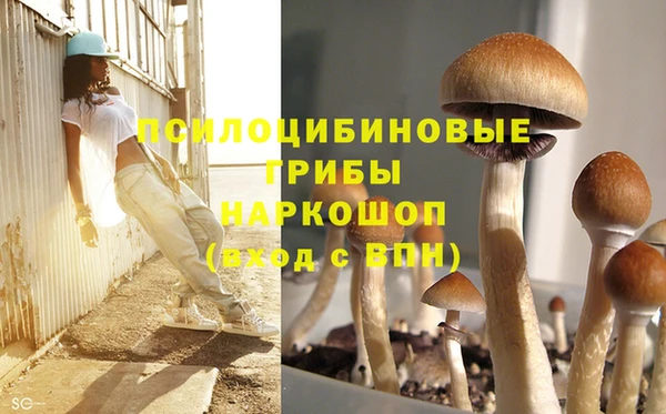 МДПВ Балахна