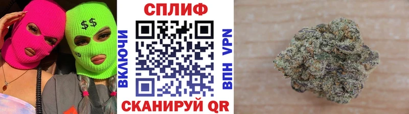 где найти наркотики  Лянтор  Марихуана сатива 